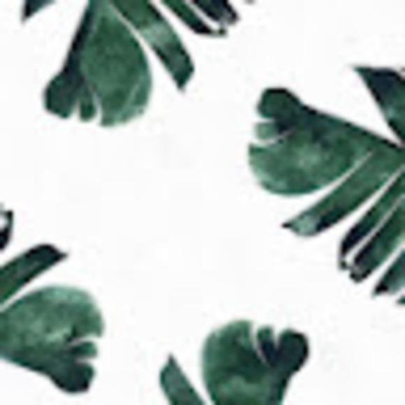 Meet your Posher, Landry - Picture 1 of 1